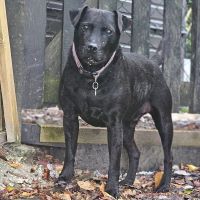 Buddy 14 2x2 Buddy 14 2x2